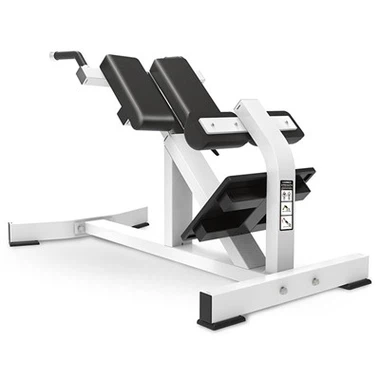 Antrenor pentru extensie spate